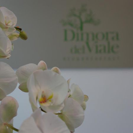 Dimora Del Viale Bed & Breakfast Агридженто Екстериор снимка