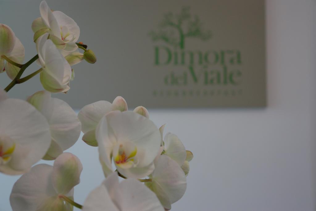 Dimora Del Viale Bed & Breakfast Агридженто Екстериор снимка